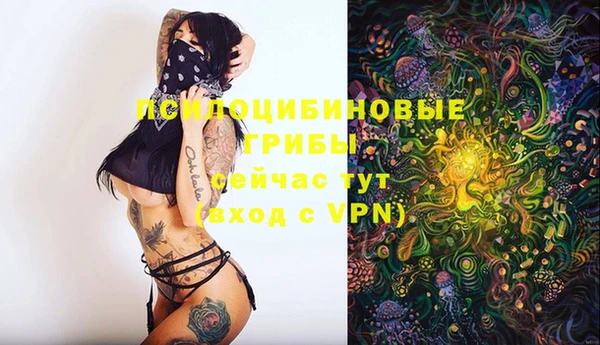 винт Балахна