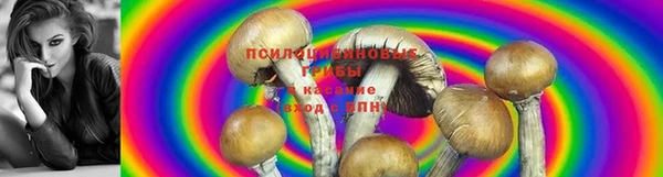 винт Балахна